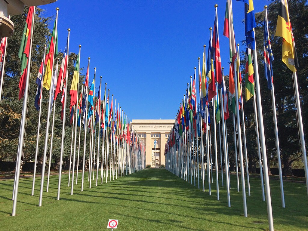 The United Nations at 80:  A Partner for Peace and Sustainable Development